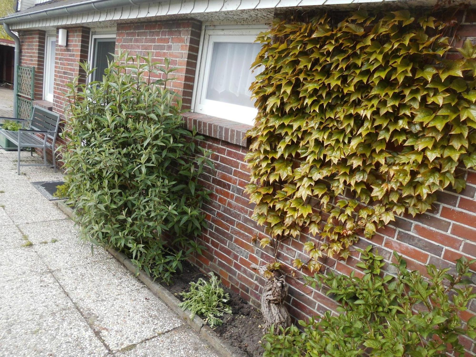 Moewennest Neuharlingersiel Exterior foto